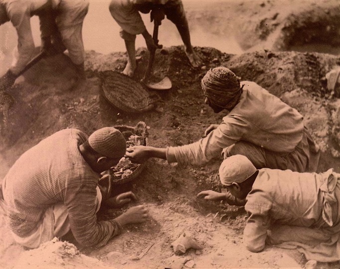 Papyri